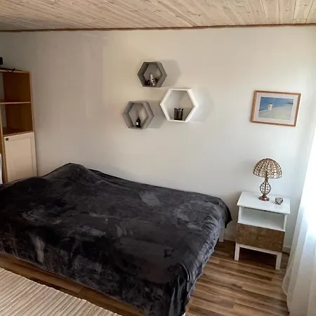 Apartment Uus-sauga 10